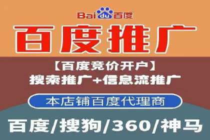 竞价广告的深度解析：以一知名品牌为例